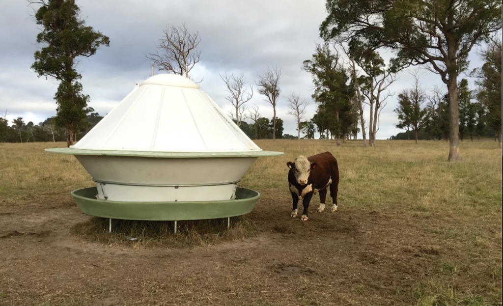 Animal Feeder Team Poly Water Tanks Water Solutions for Life